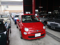 tBAbg  500 cCGA@POP