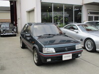 vW[  205GTI EnhE[[t